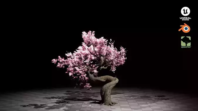 Blossom Tree 3D Model - High Quality and Game Ready