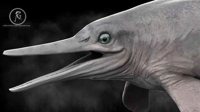 Ophthalmosaurus Low-poly 3D model