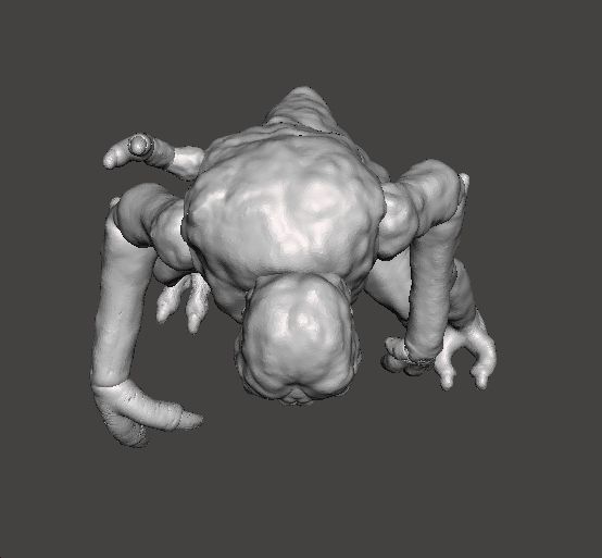 BRUNDLEFLY MONSTER MINIATURE MODEL HORROR FANTASY GAMES RPG DND 3D print model_6