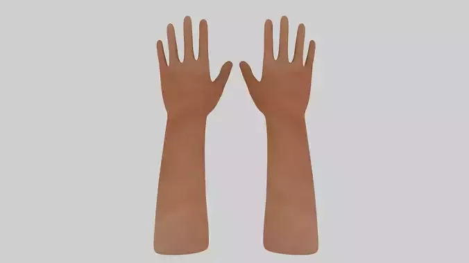 Human Hands 3D Model Low-poly 3D model