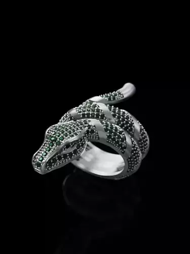 Ring snake viper in stones