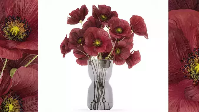 Beautiful Bouquet Of Wild Flowers Poppy 469