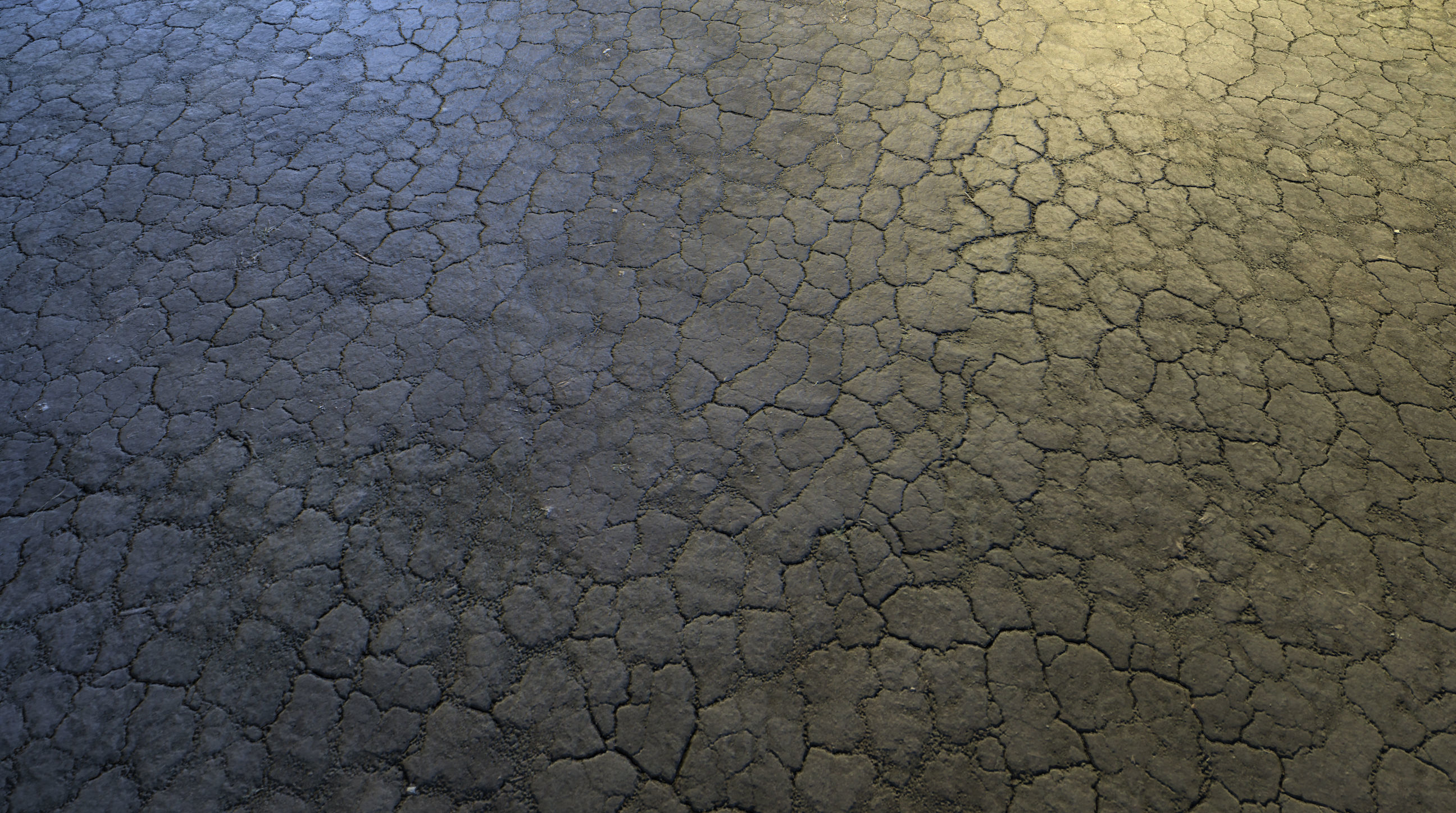 Realistic Terrain Textures Texture_20