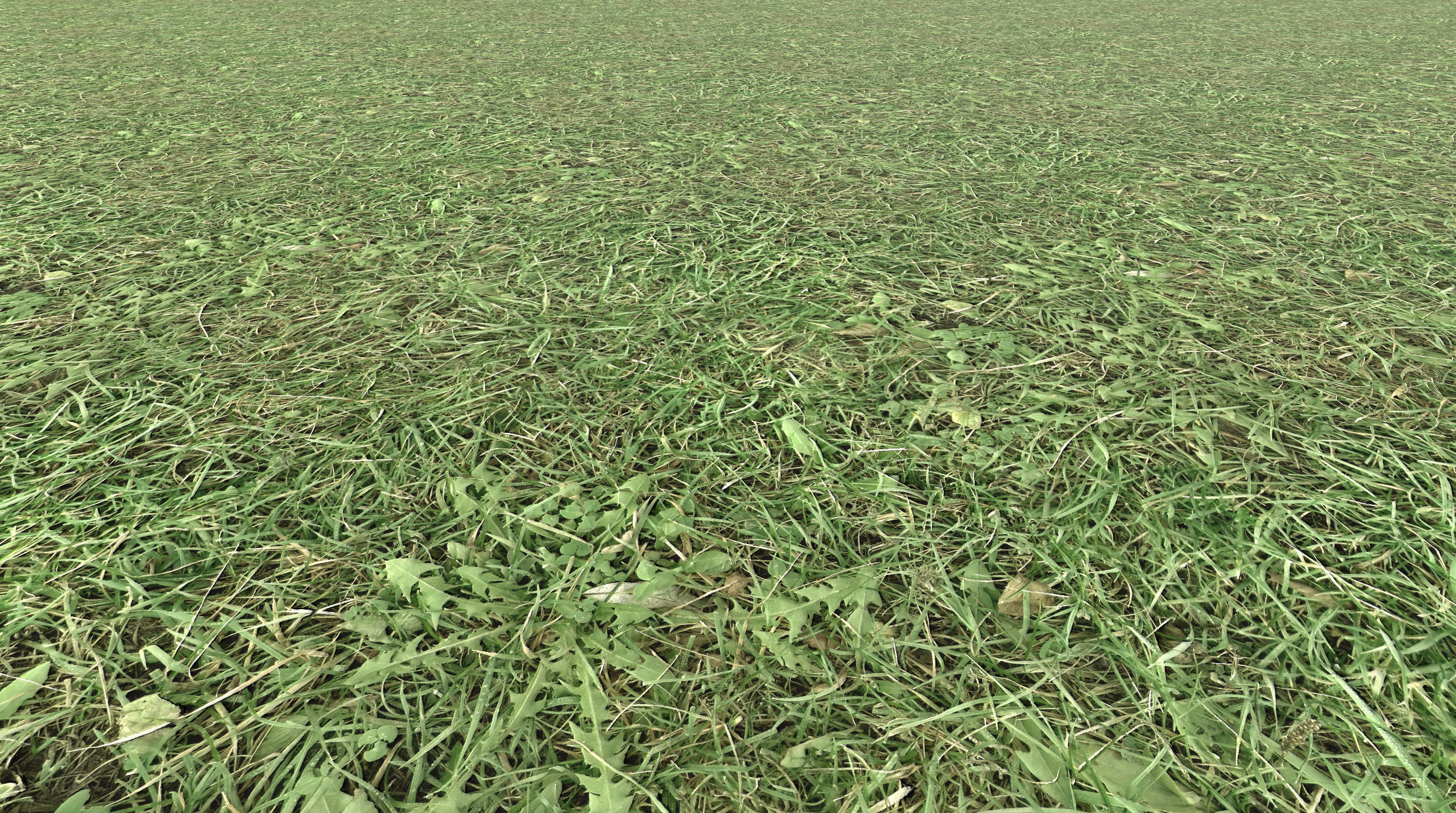 Realistic Terrain Textures Texture_2