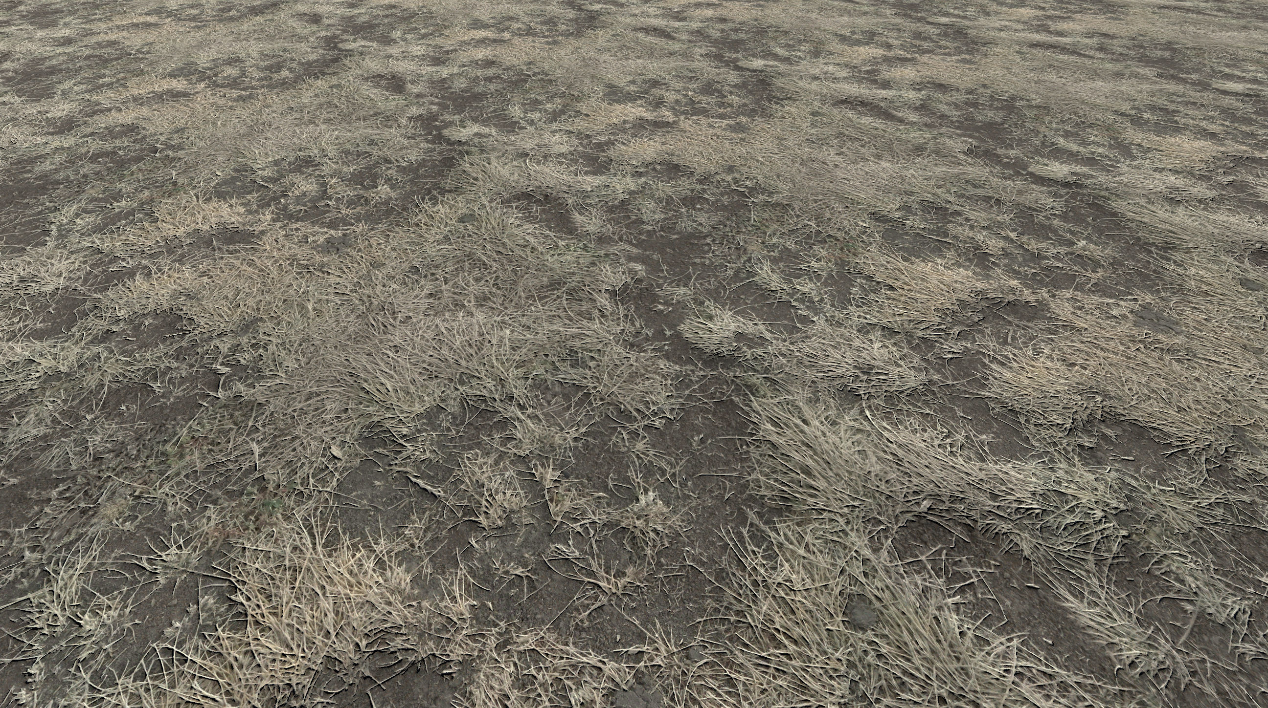 Realistic Terrain Textures Texture_11