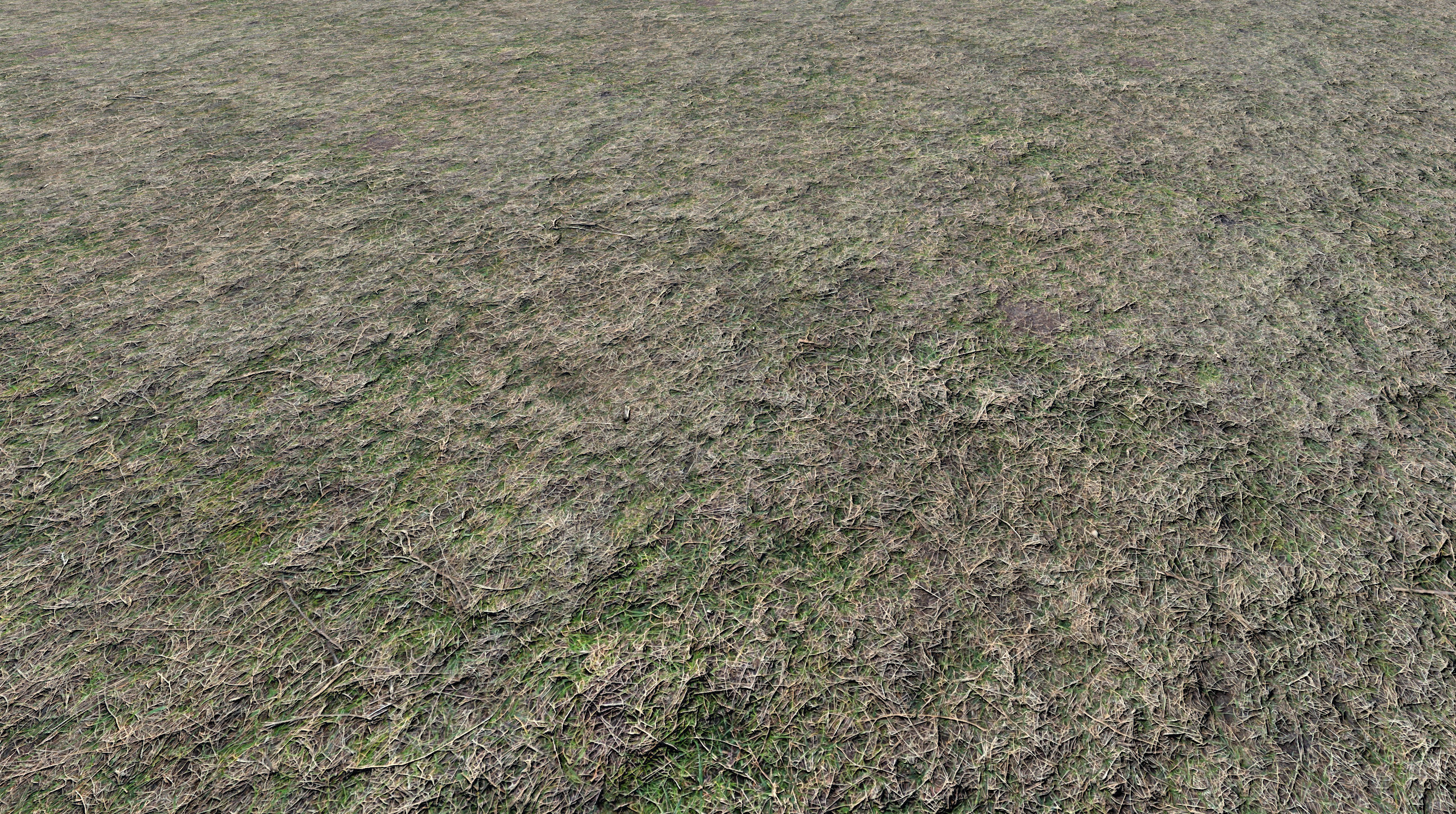 Realistic Terrain Textures Texture_14