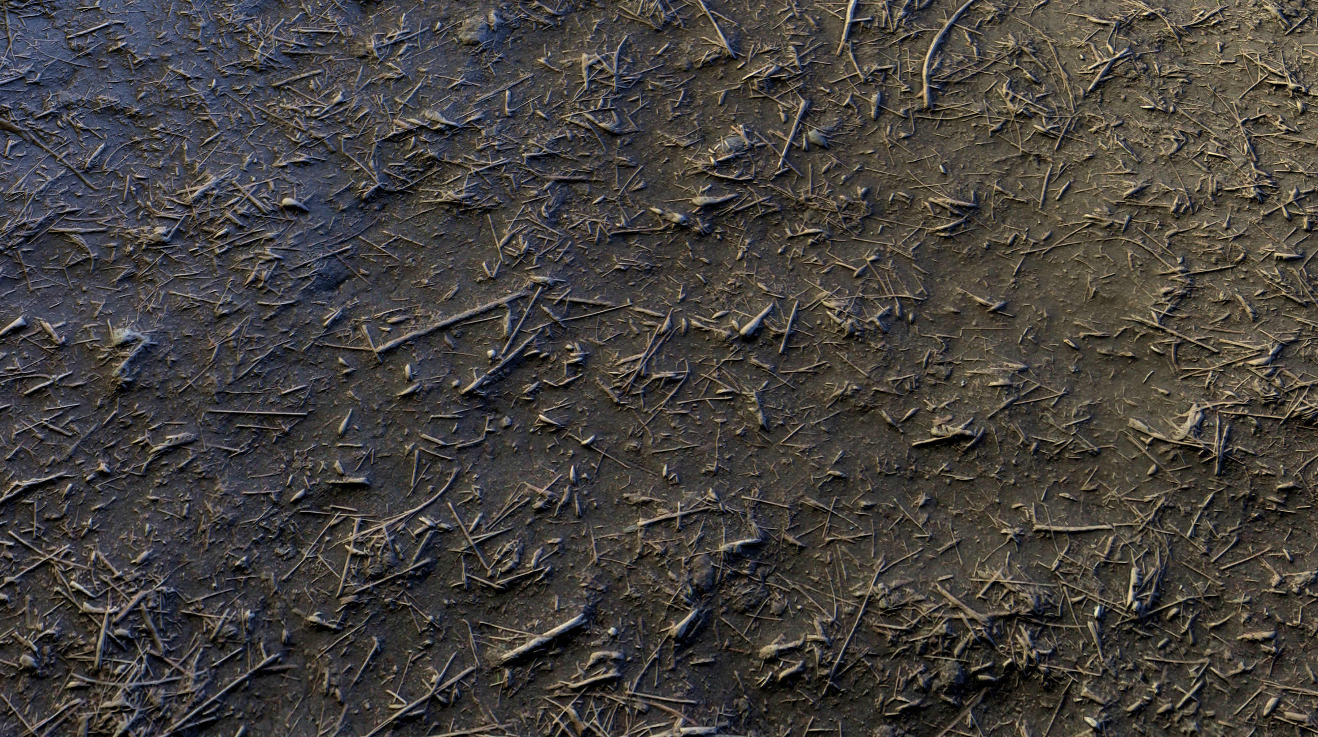 Realistic Terrain Textures Texture_29