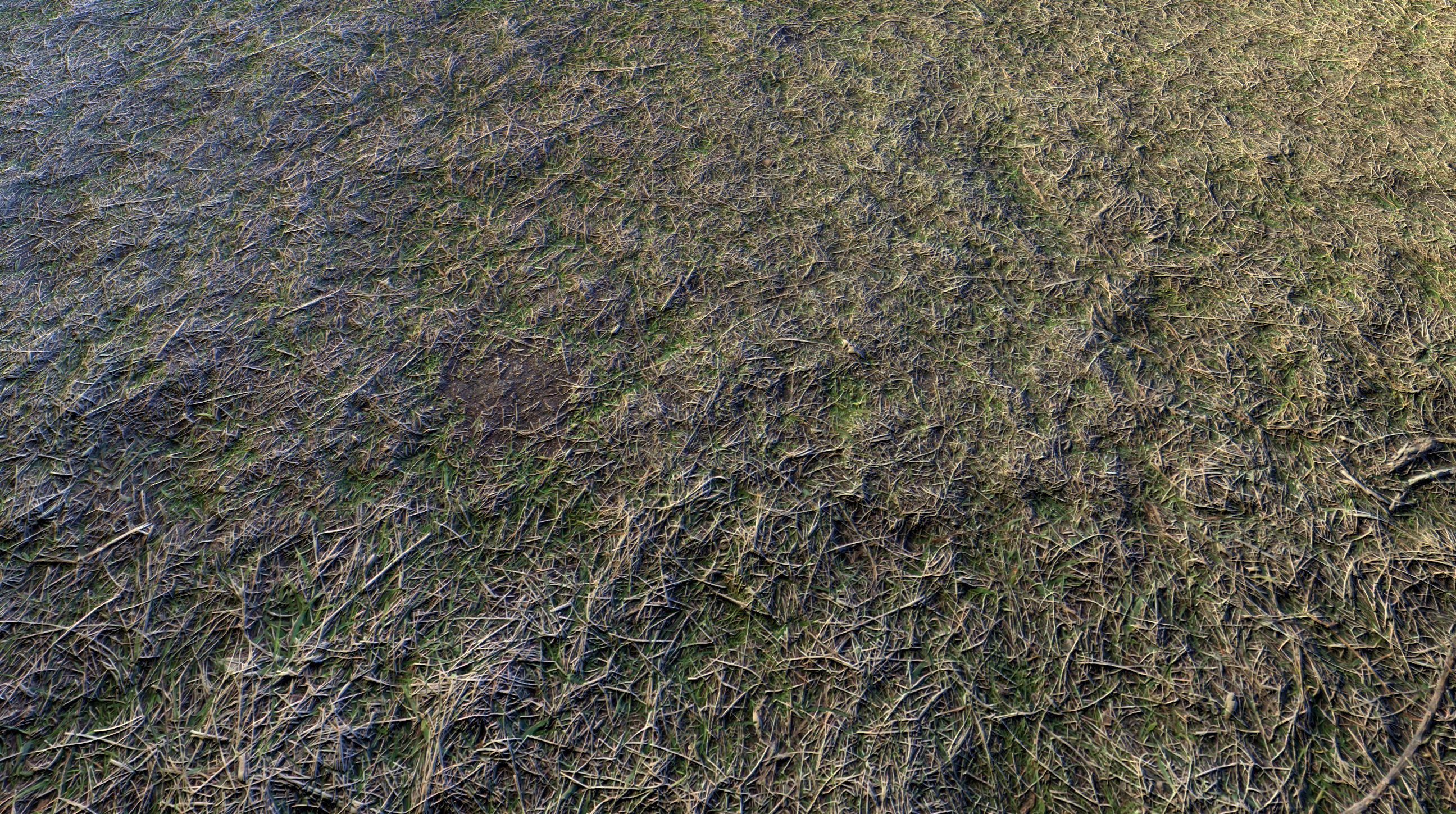 Realistic Terrain Textures Texture_28