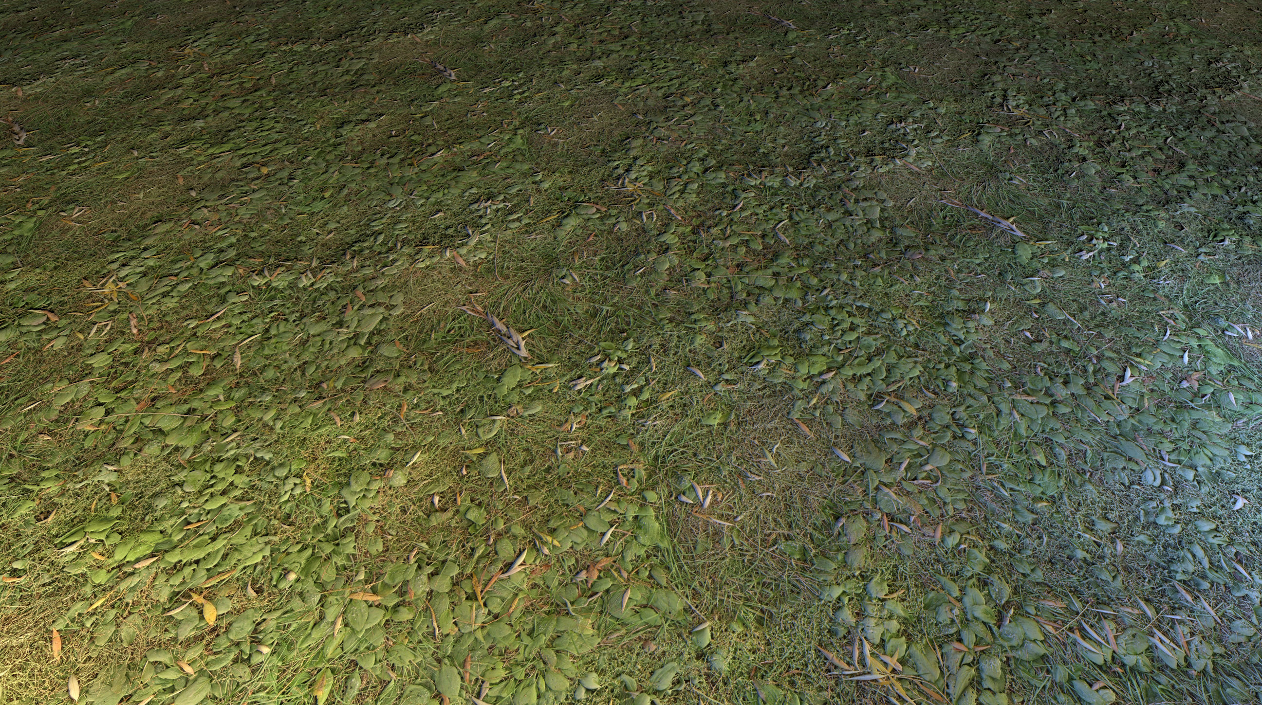 Realistic Terrain Textures Texture_32