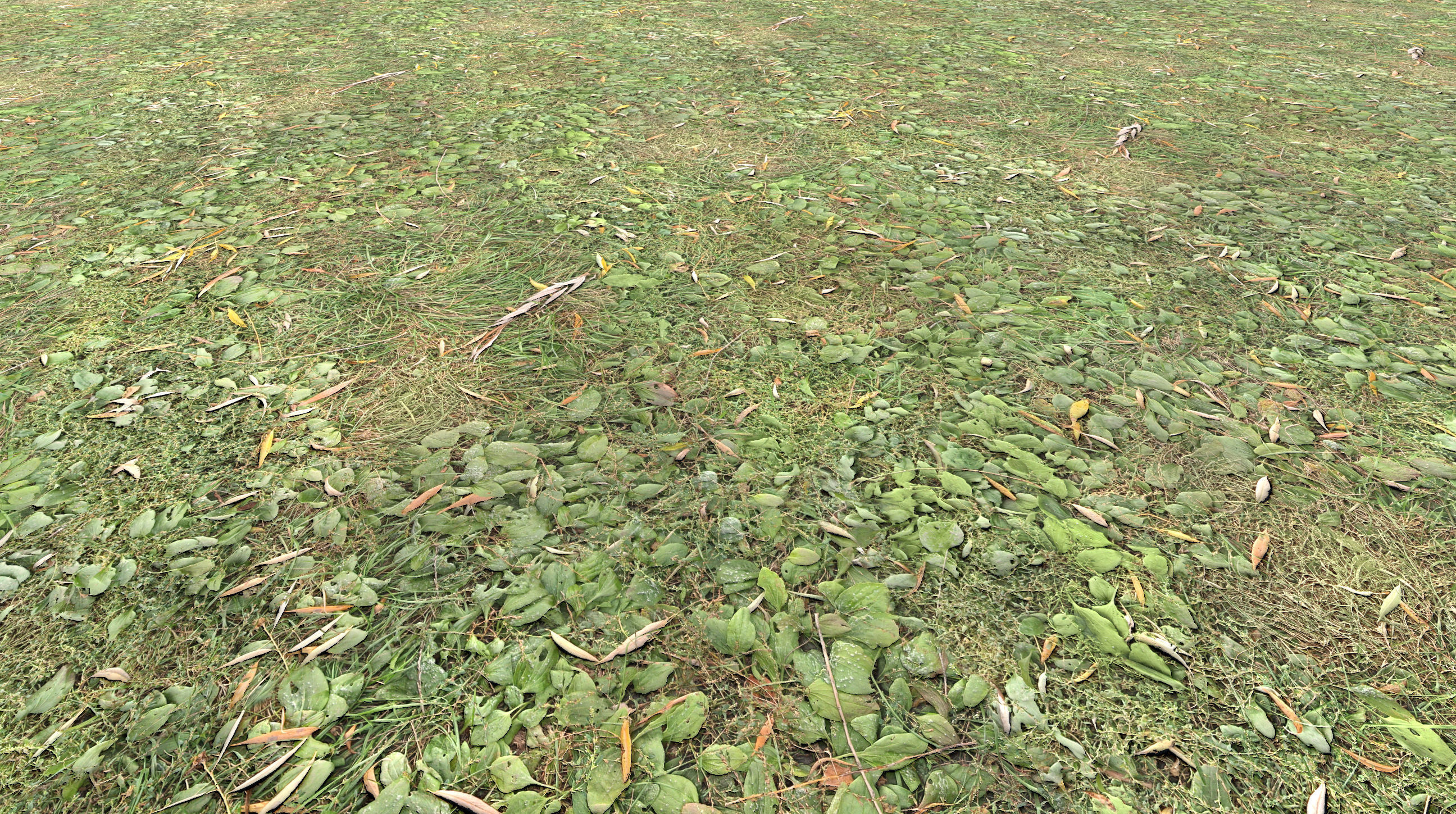 Realistic Terrain Textures Texture_4