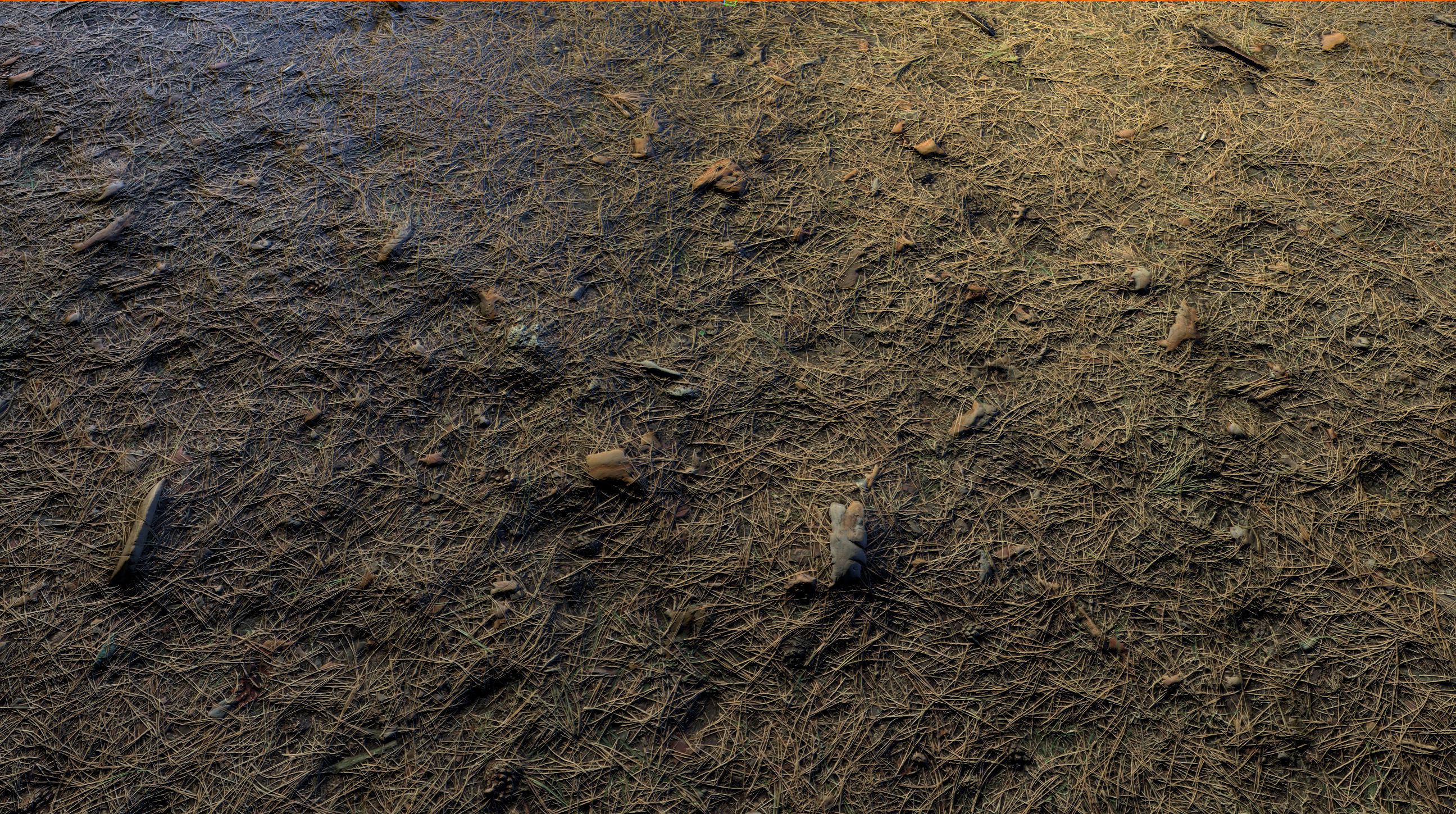 Realistic Terrain Textures Texture_25