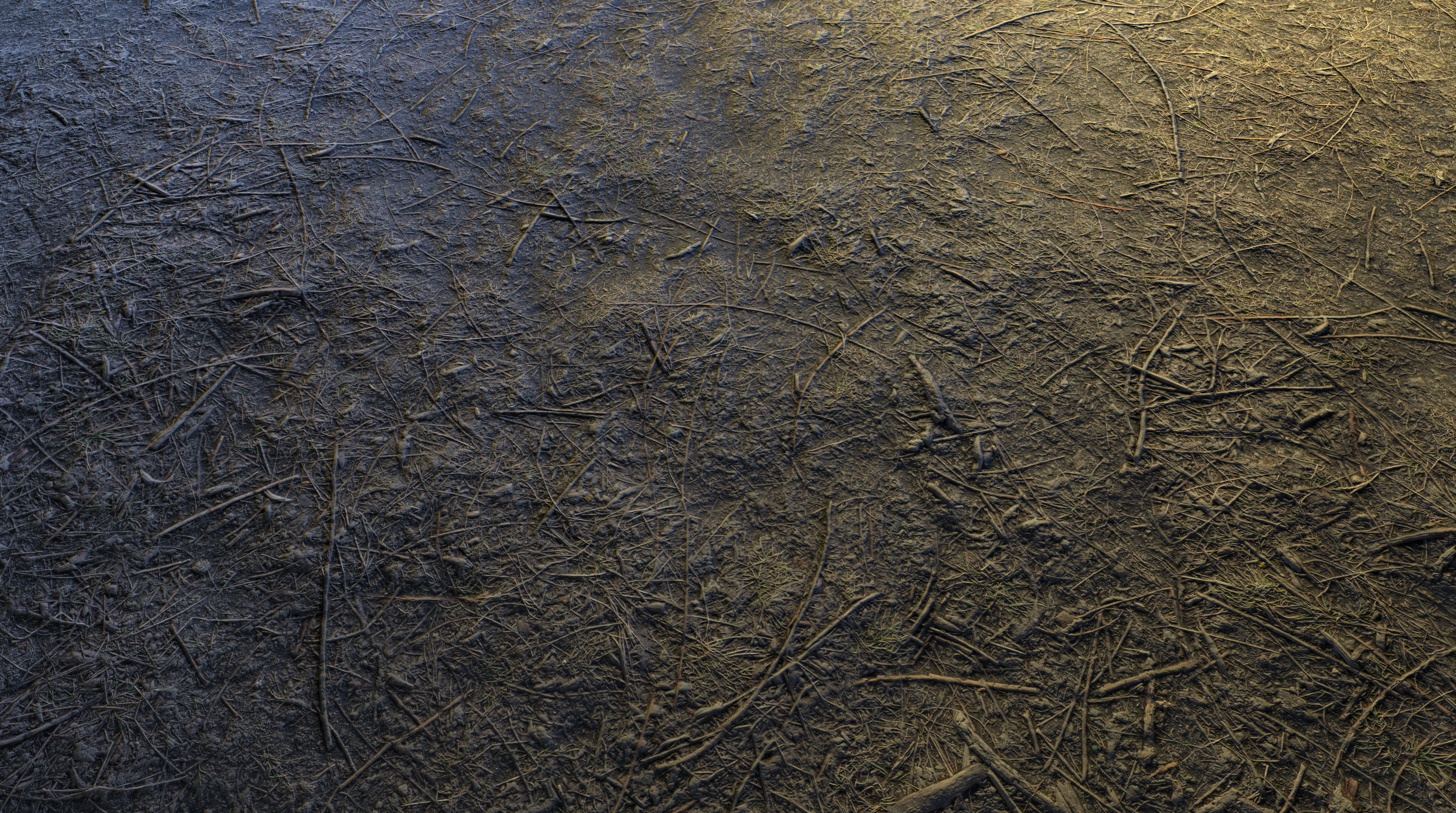 Realistic Terrain Textures Texture_21