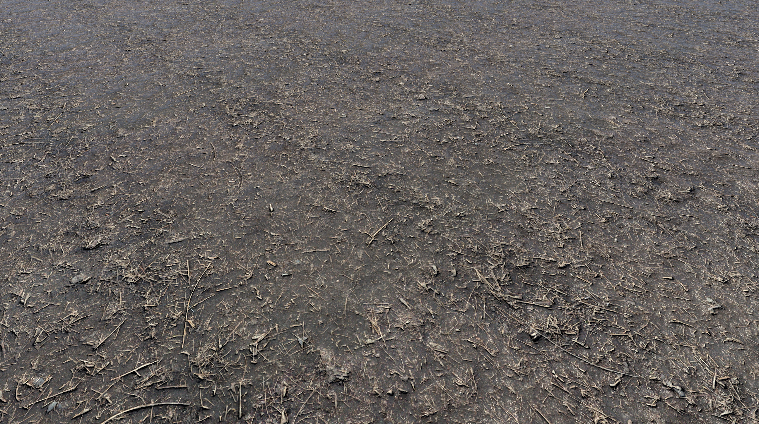 Realistic Terrain Textures Texture_8