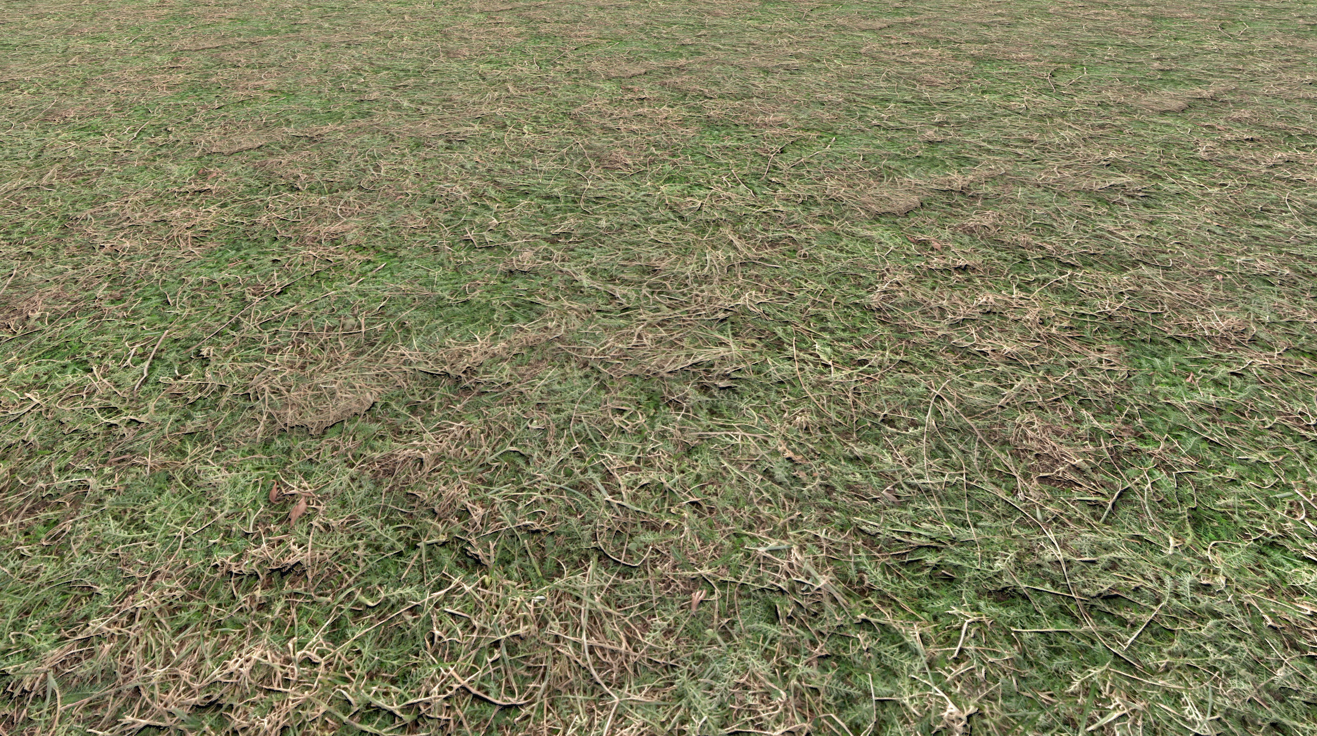 Realistic Terrain Textures Texture_10