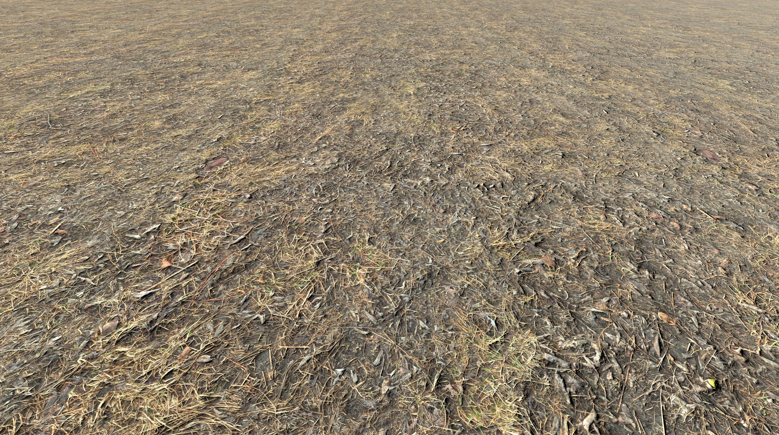 Realistic Terrain Textures Texture_6