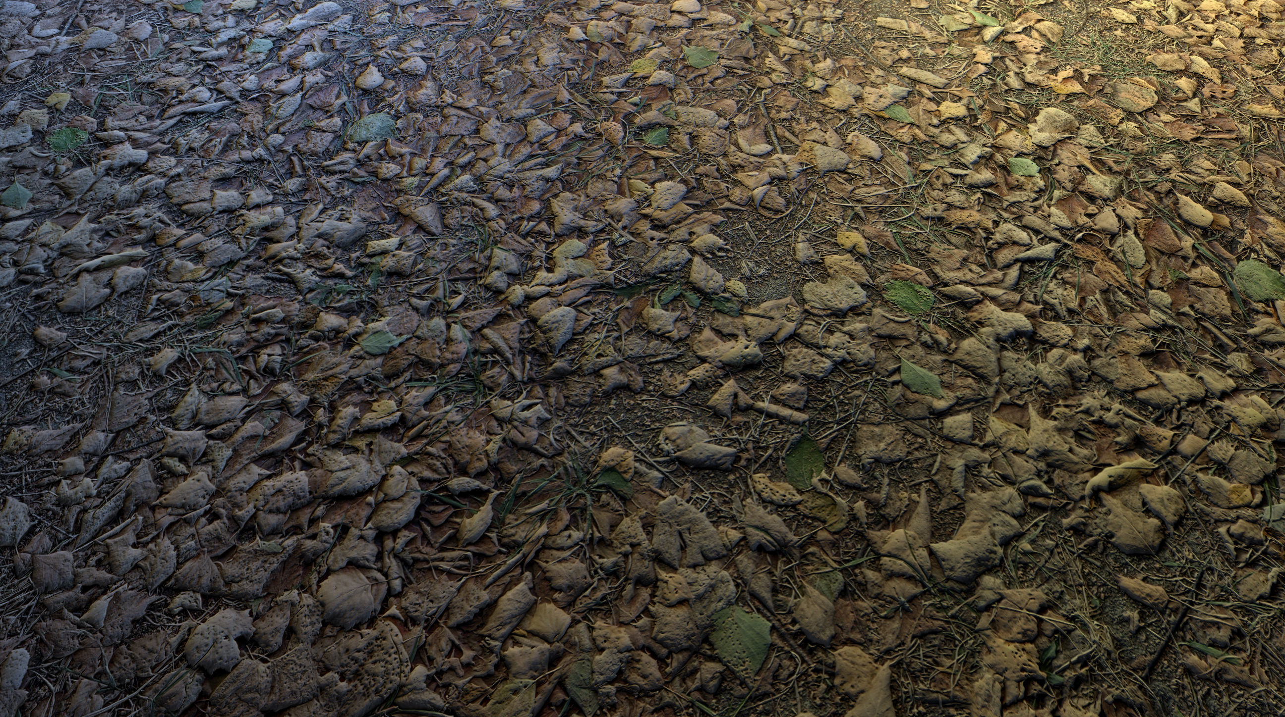 Realistic Terrain Textures Texture_18