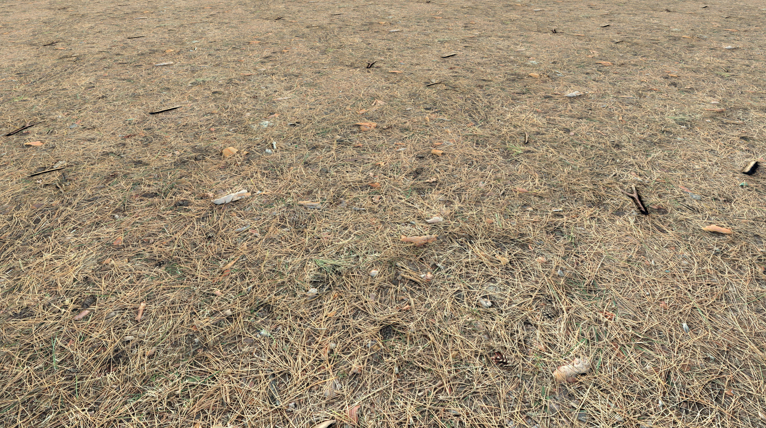 Realistic Terrain Textures Texture_12