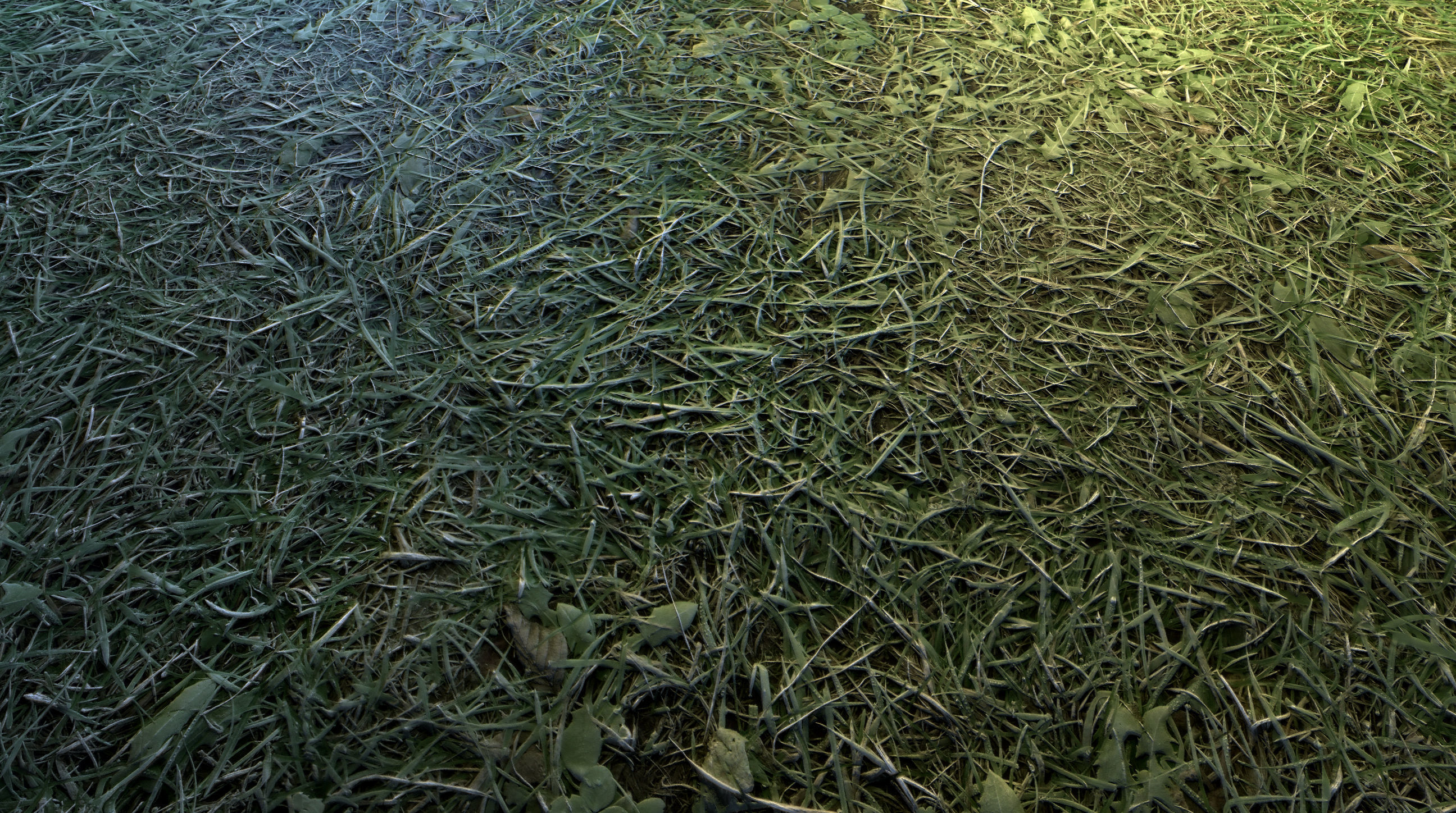 Realistic Terrain Textures Texture_16