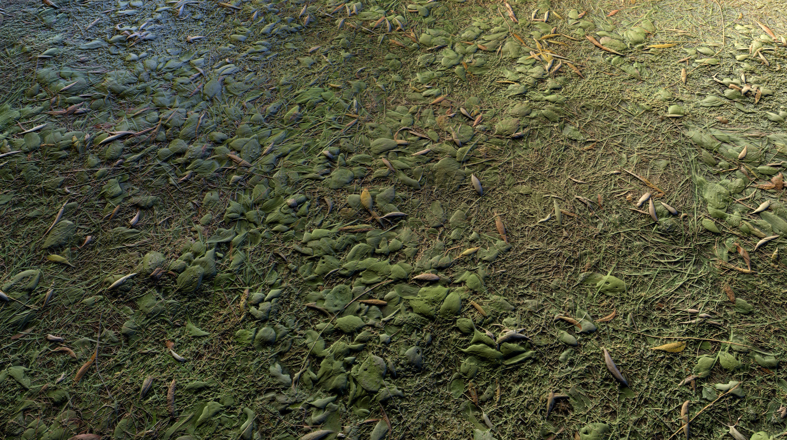 Realistic Terrain Textures Texture_26