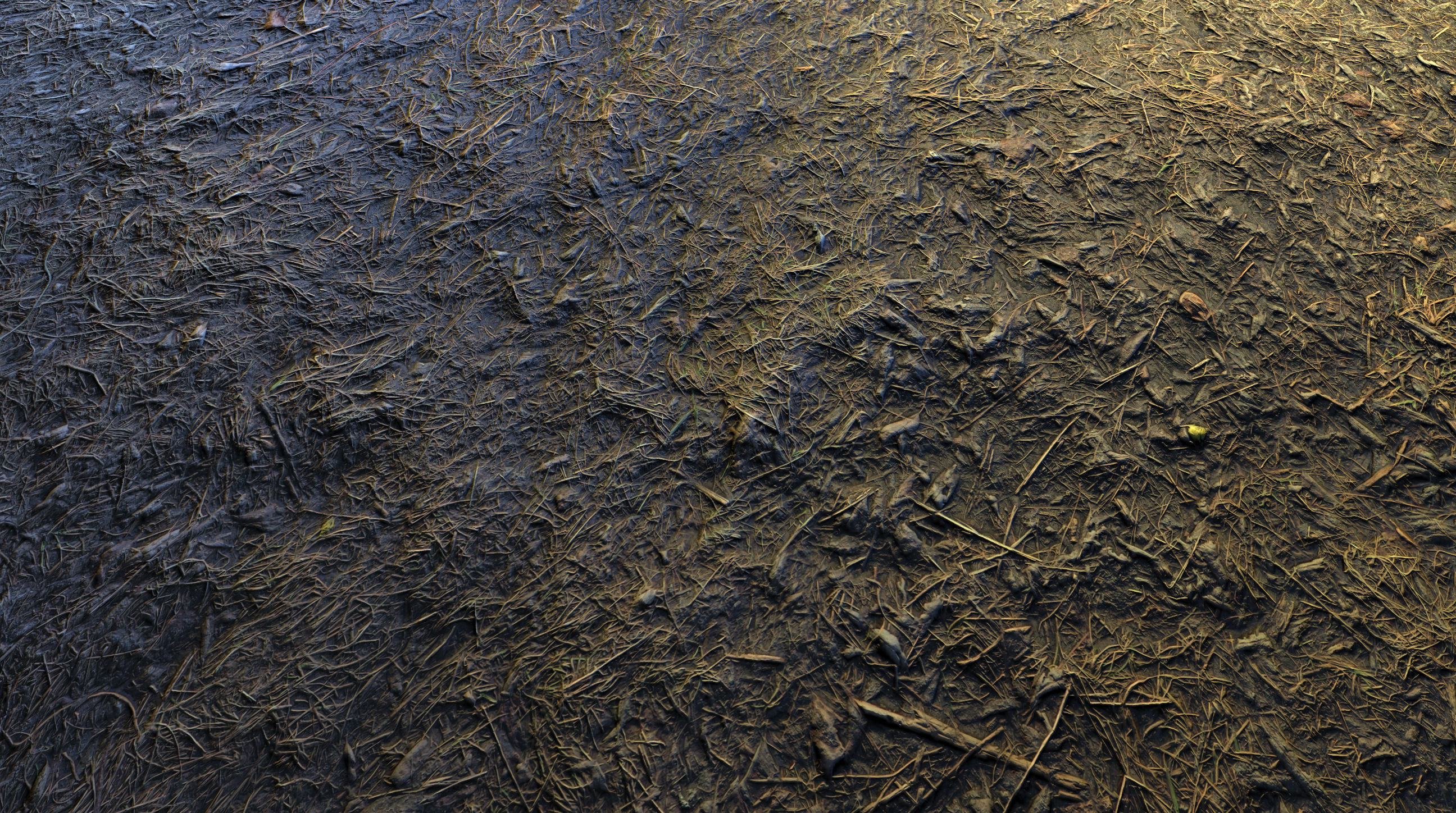 Realistic Terrain Textures Texture_17