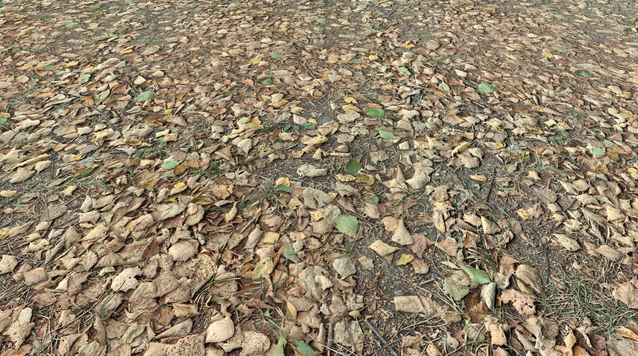 Realistic Terrain Textures Texture_3