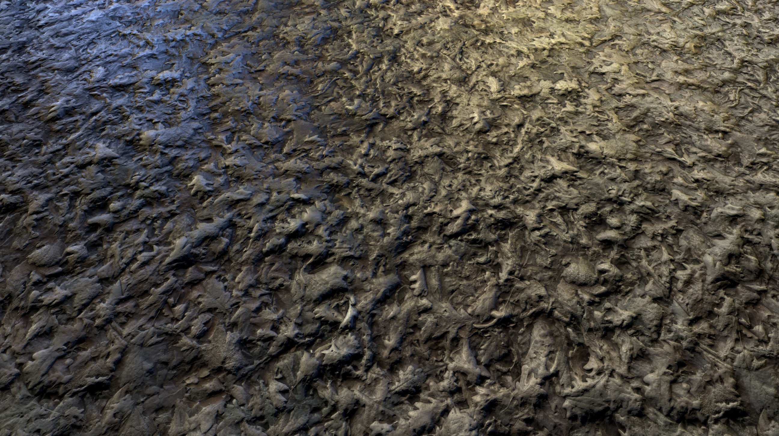 Realistic Terrain Textures Texture_24