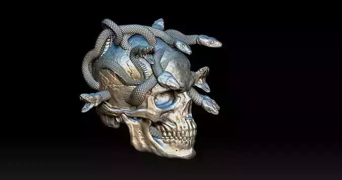Skull with snakes 3D print model