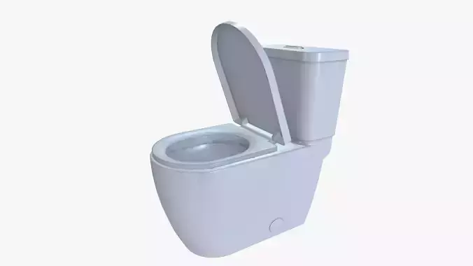 Western Toilet