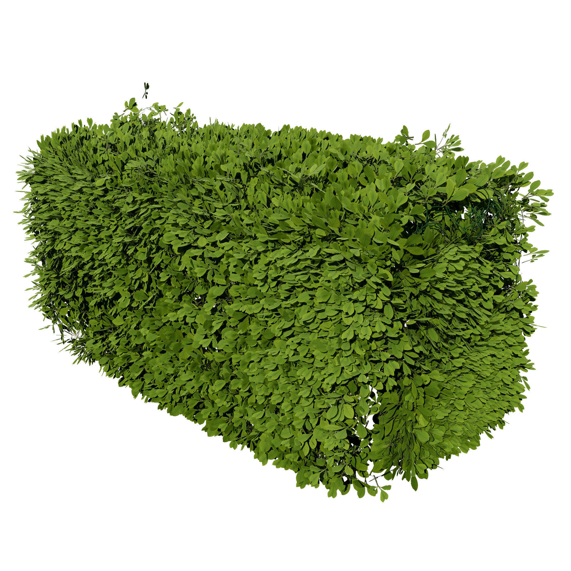 Windswept Procedural Bush Low-poly 3D model_4