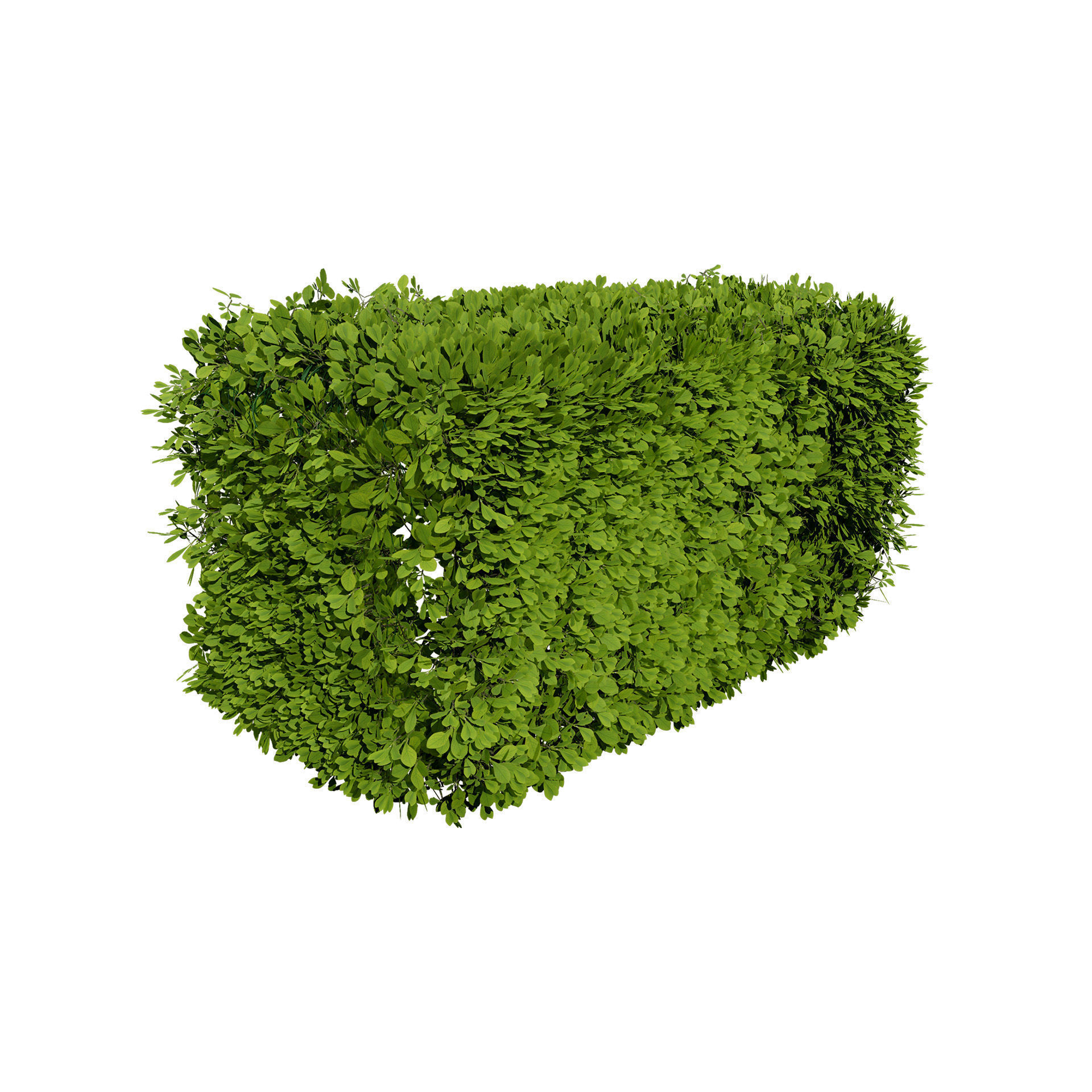 Windswept Procedural Bush Low-poly 3D model_8