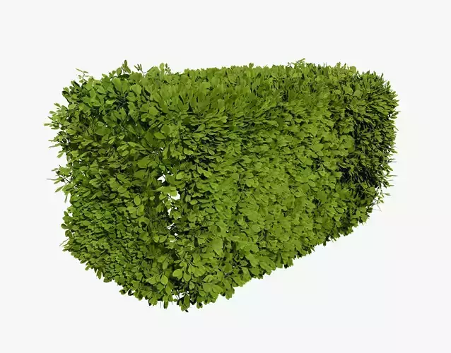 Windswept Procedural Bush Low-poly 3D model