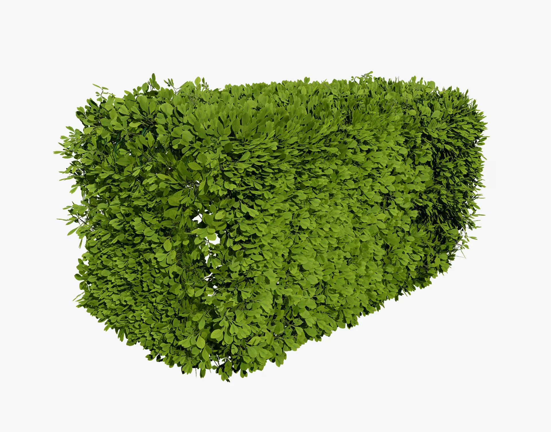 Windswept Procedural Bush Low-poly 3D model_0
