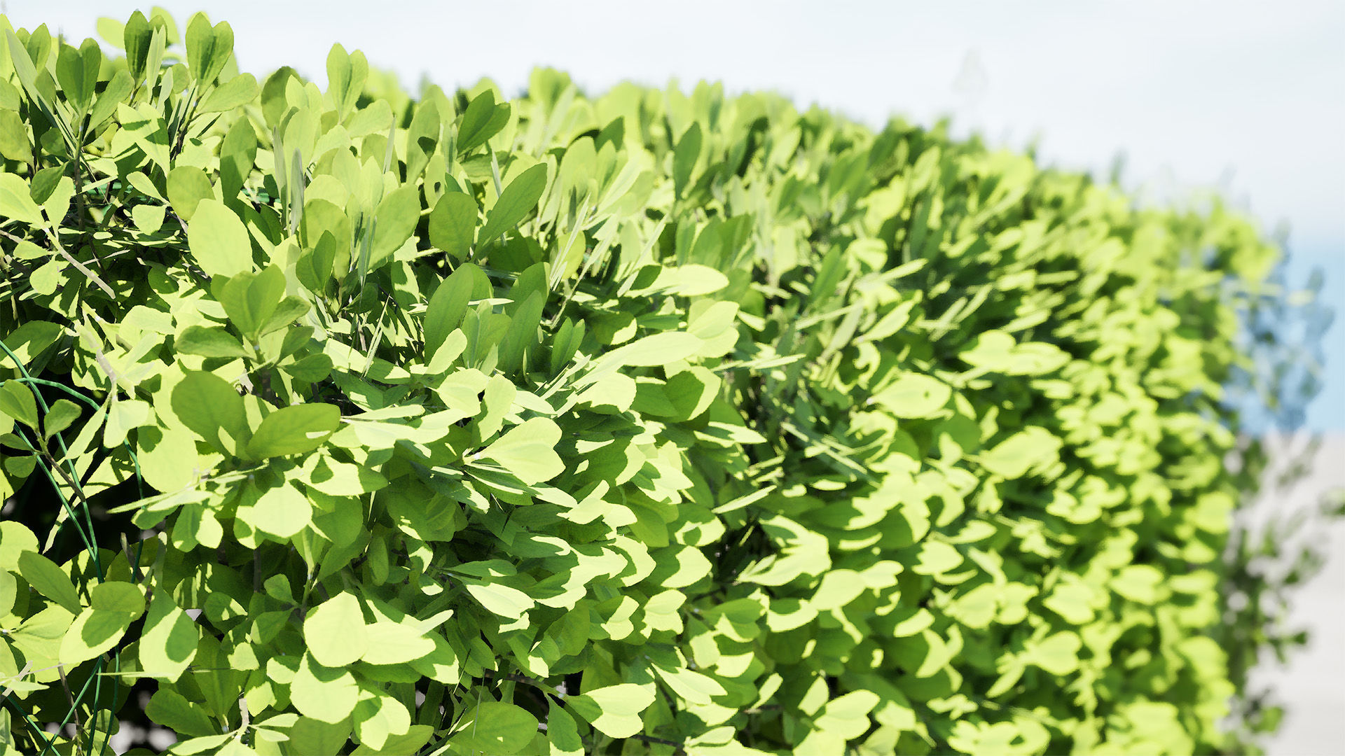 Windswept Procedural Bush Low-poly 3D model_7