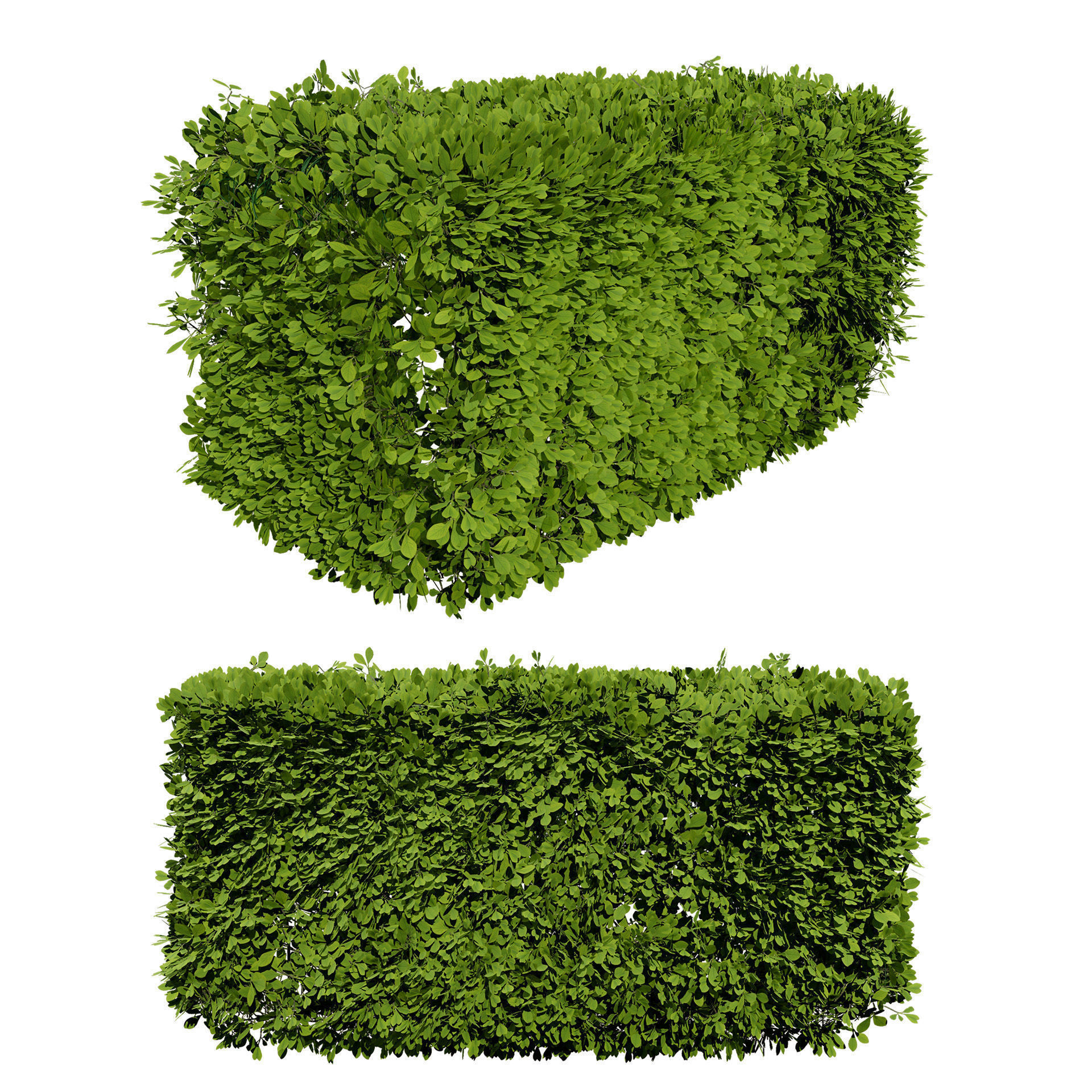 Windswept Procedural Bush Low-poly 3D model_2