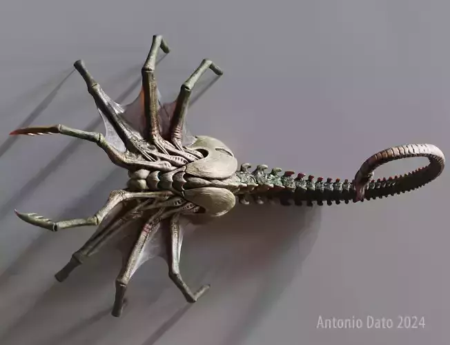 Alien Queen Facehugger PBR Low-poly 3D model