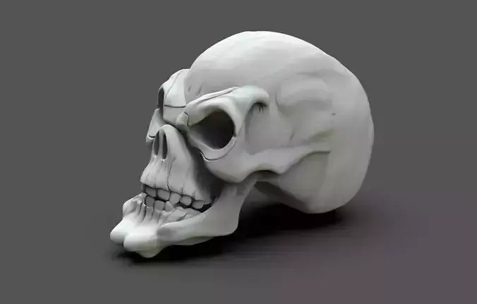 Evil Skull