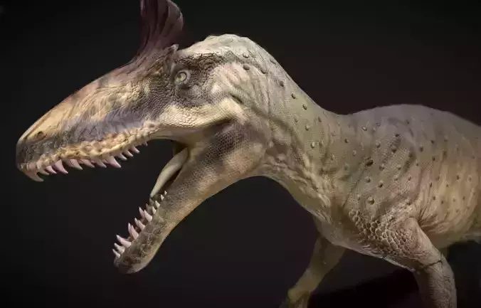 Cryolophosaurus Low-poly 3D model
