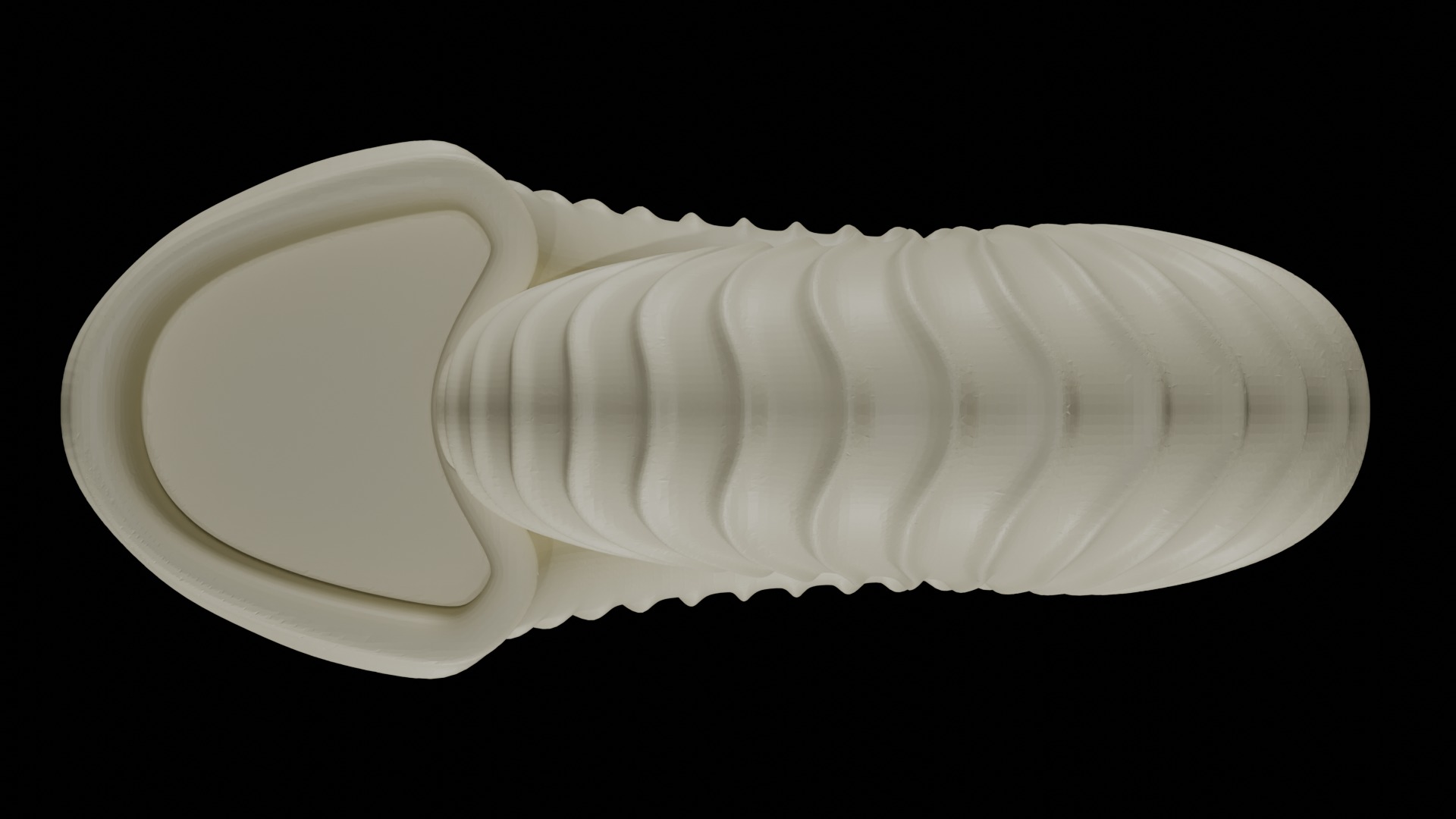 Ammonoid shell with falcoid ribs 3D model_3