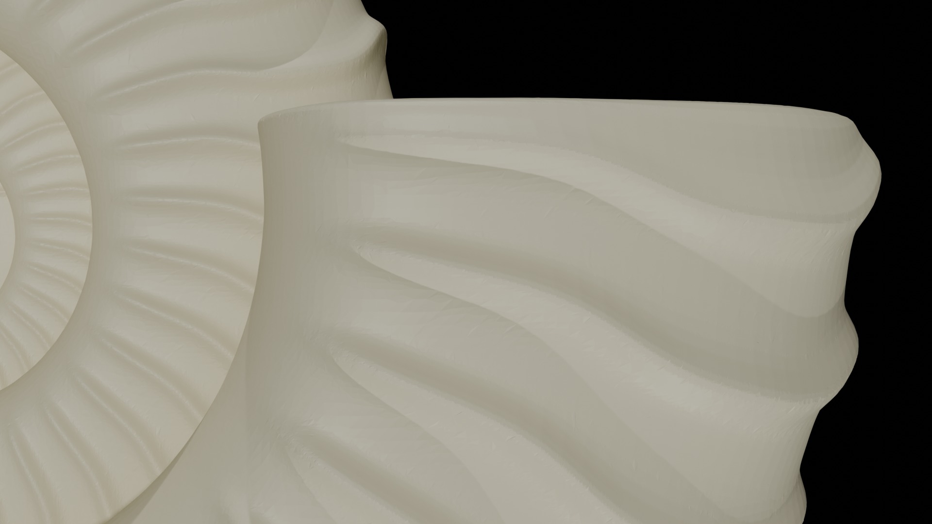 Ammonoid shell with falcoid ribs 3D model_6