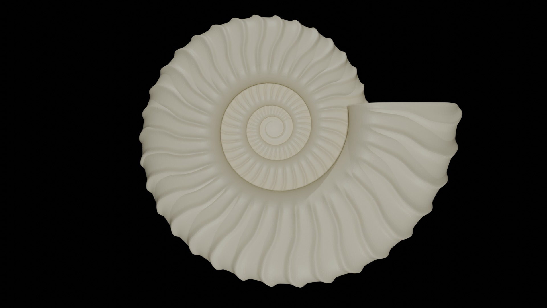 Ammonoid shell with falcoid ribs 3D model_2