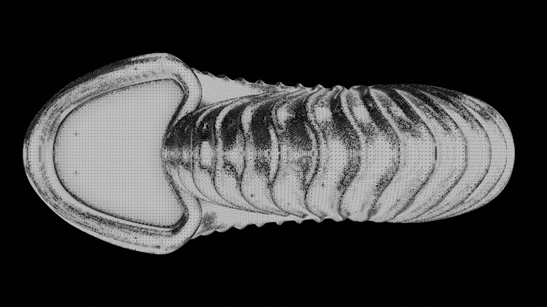 Ammonoid shell with falcoid ribs 3D model_8
