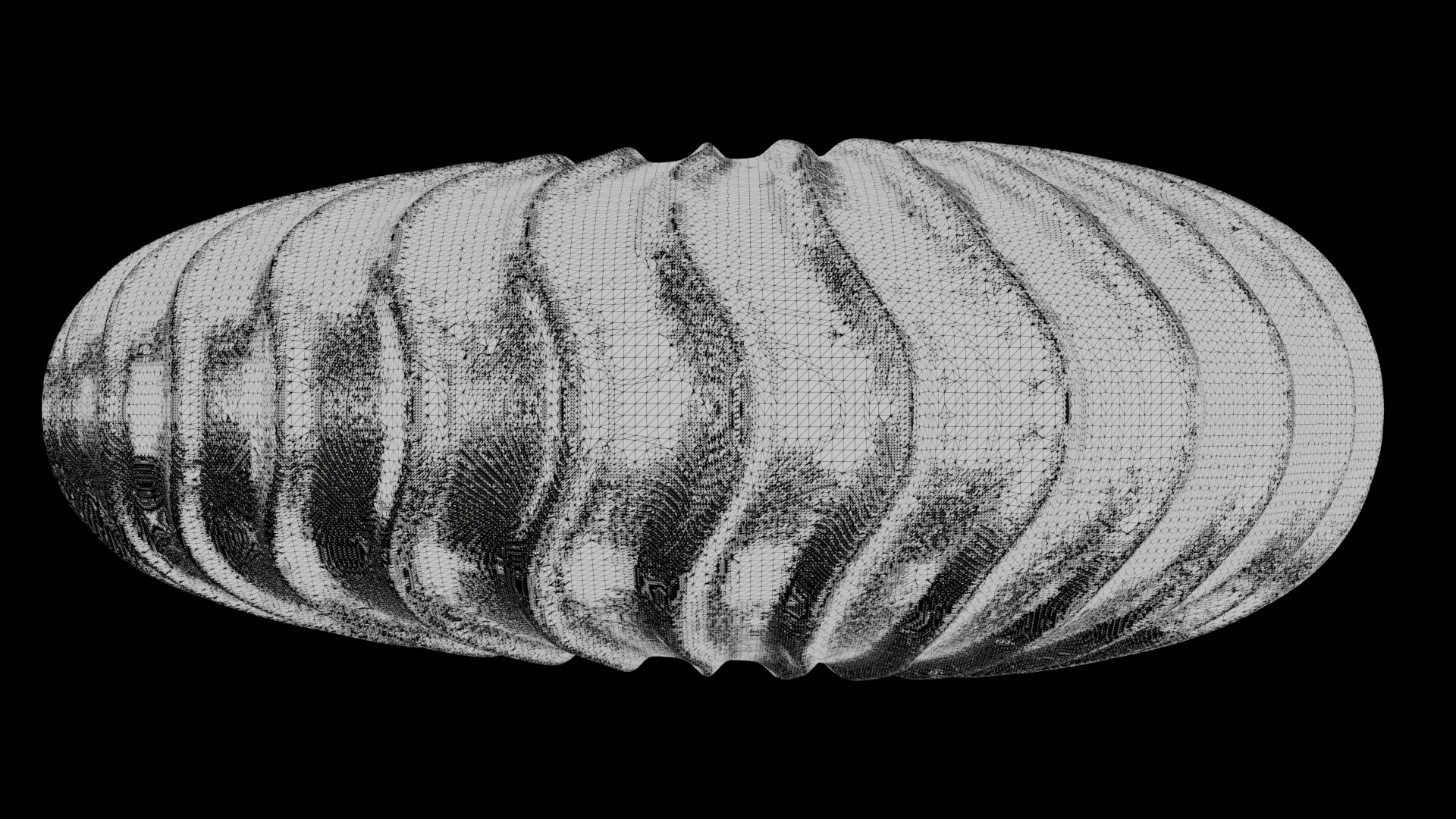 Ammonoid shell with falcoid ribs 3D model_9