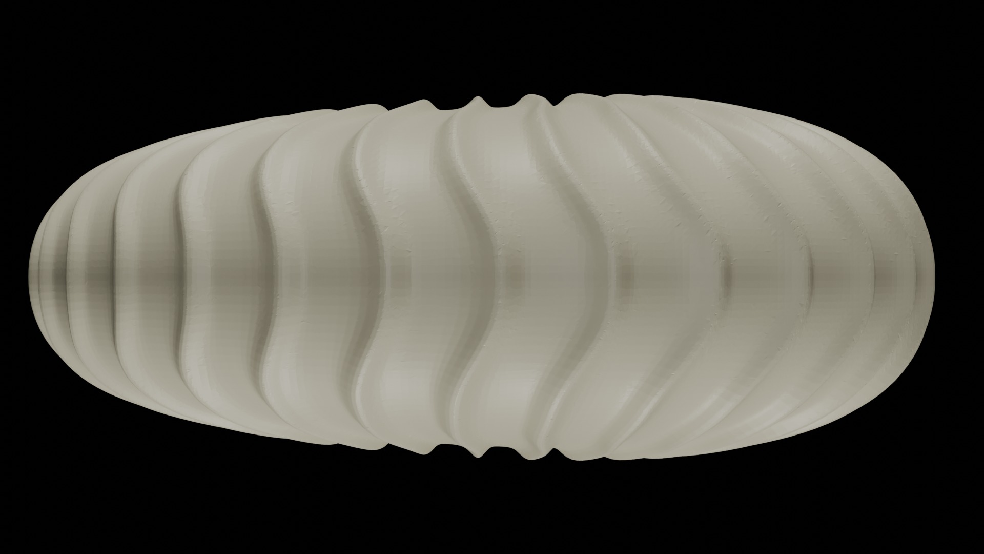 Ammonoid shell with falcoid ribs 3D model_4