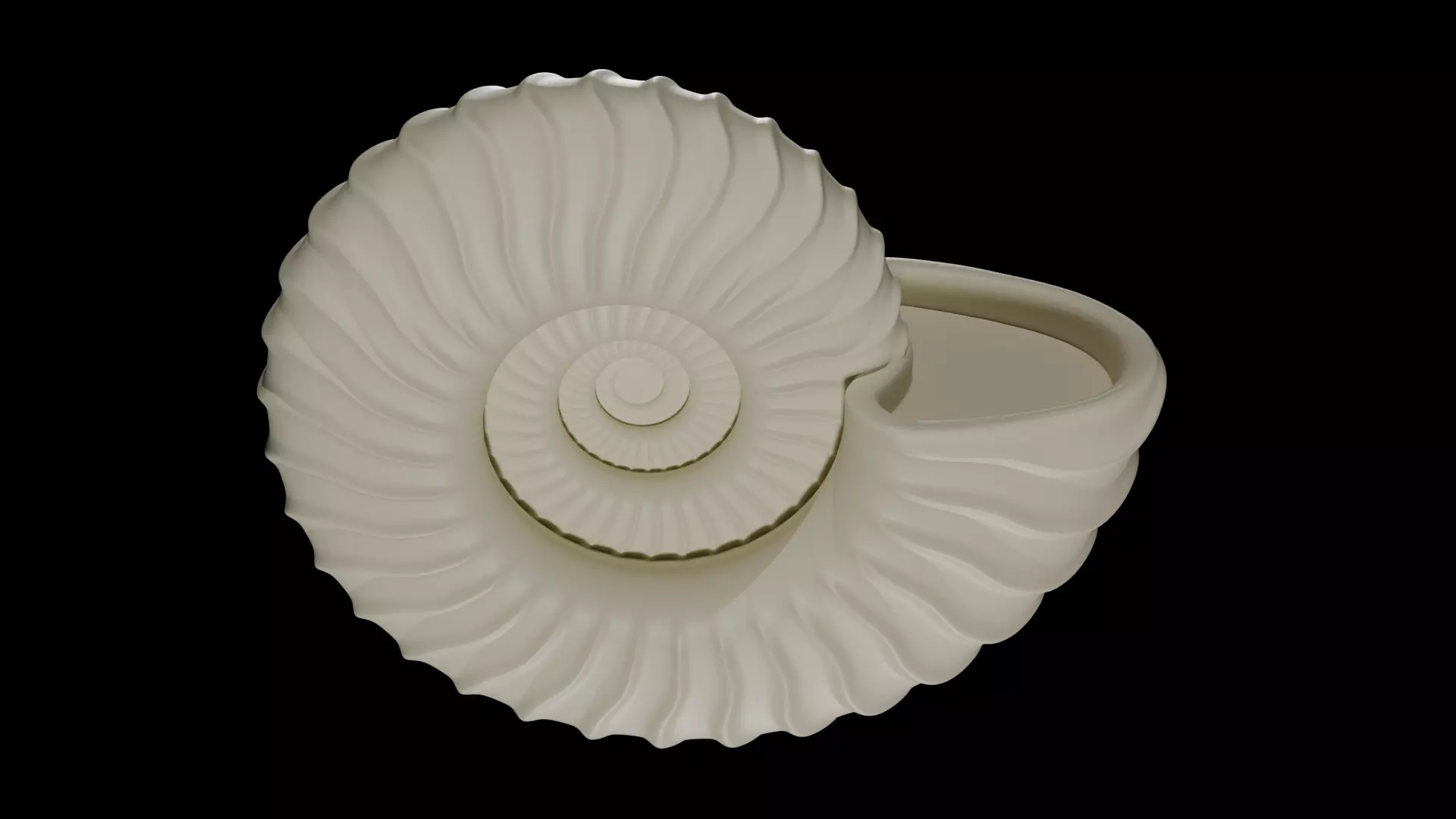 Ammonoid shell with falcoid ribs 3D model_0