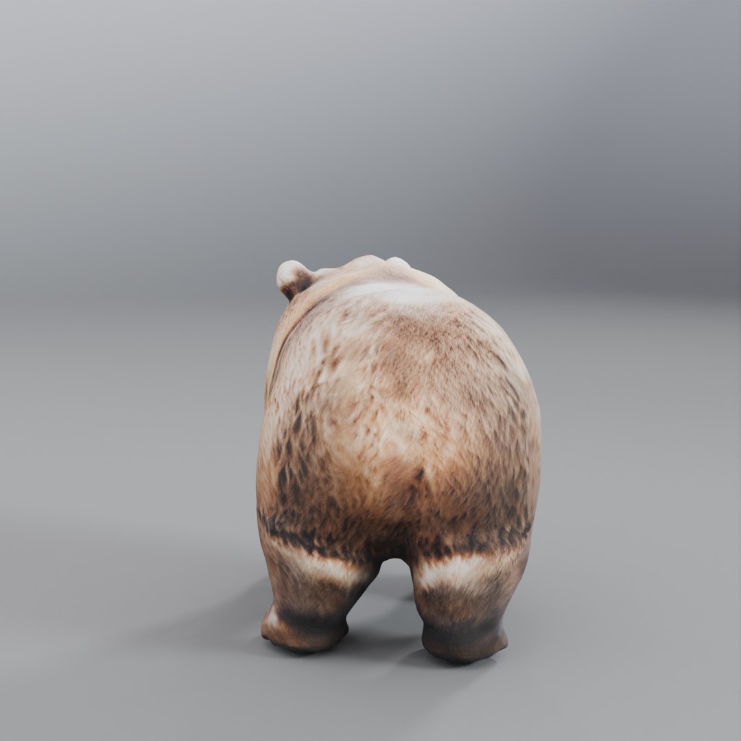 brown bear 3D model_2
