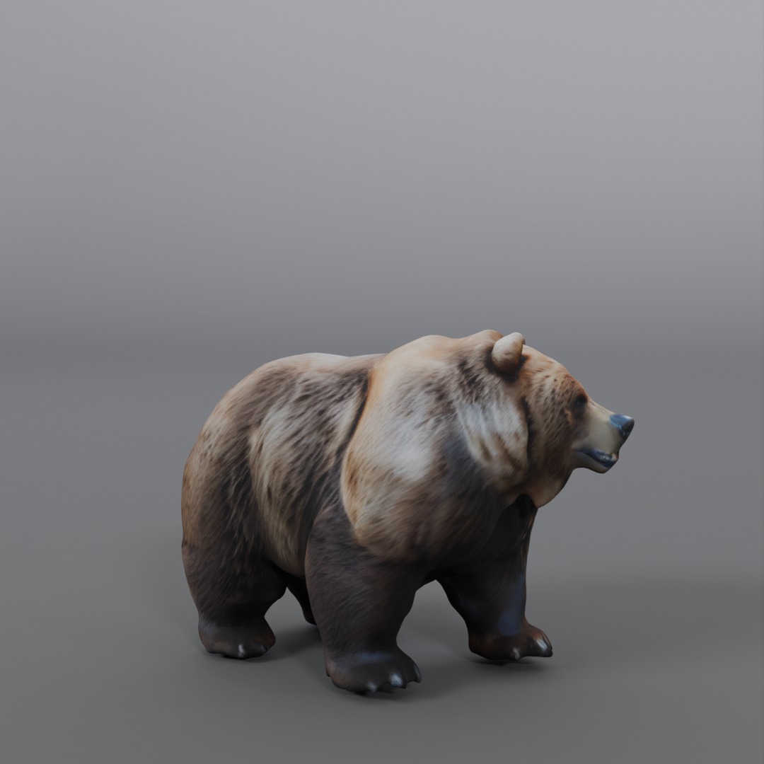 brown bear 3D model_1