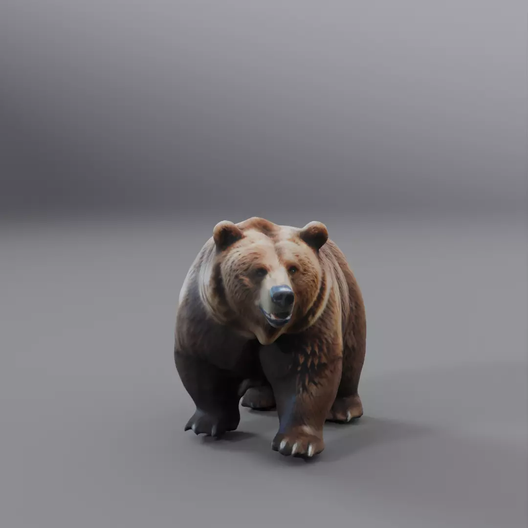 brown bear 3D model_0