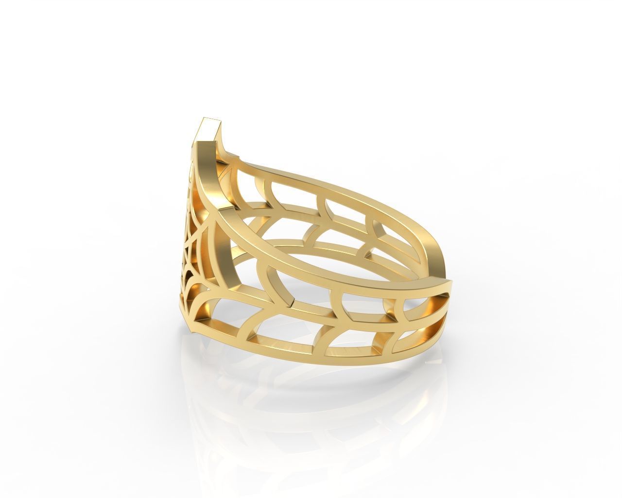Spider Web Rings 3D print model_8
