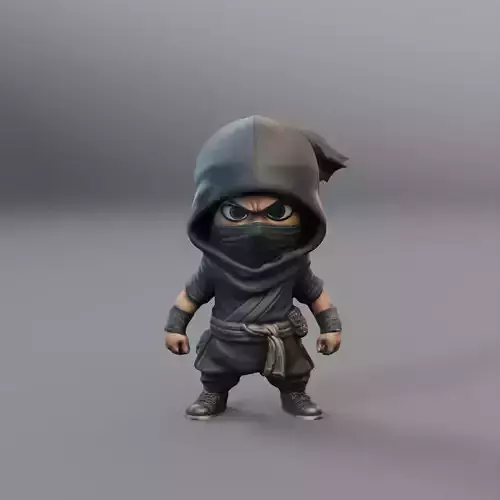 mini ninja