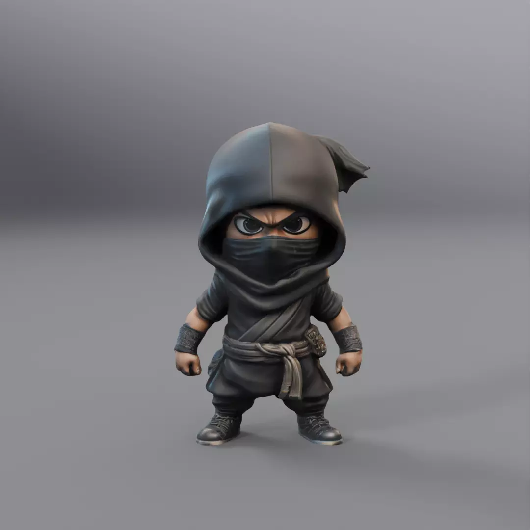 mini ninja 3D model_0